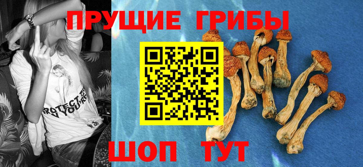 Галлюциногенные грибы прущие грибы Советская Гавань