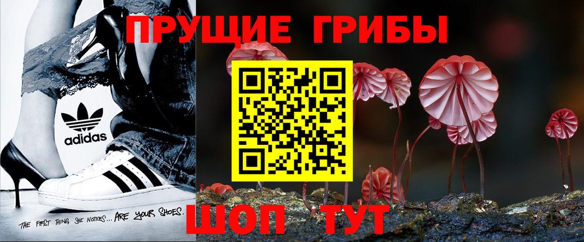 Советская Гавань  Галлюциногенные грибы GOLDEN TEACHER  Вход с VPN 